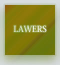 LAWYERS